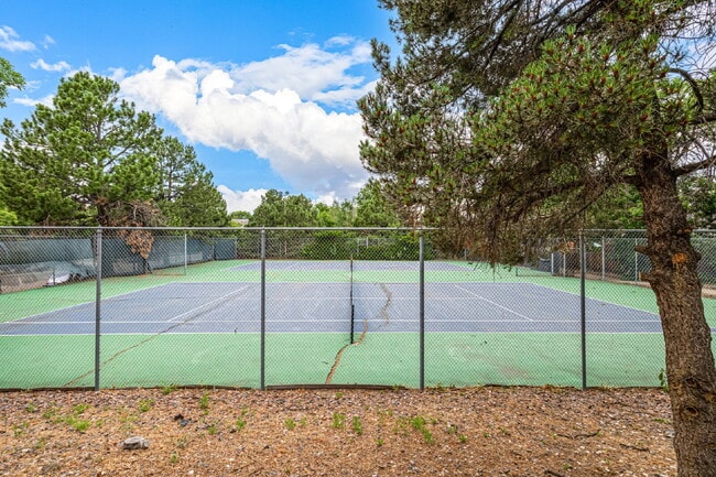 Building Photo - Two-Story home in  Cherry Creek Racquet Cl...