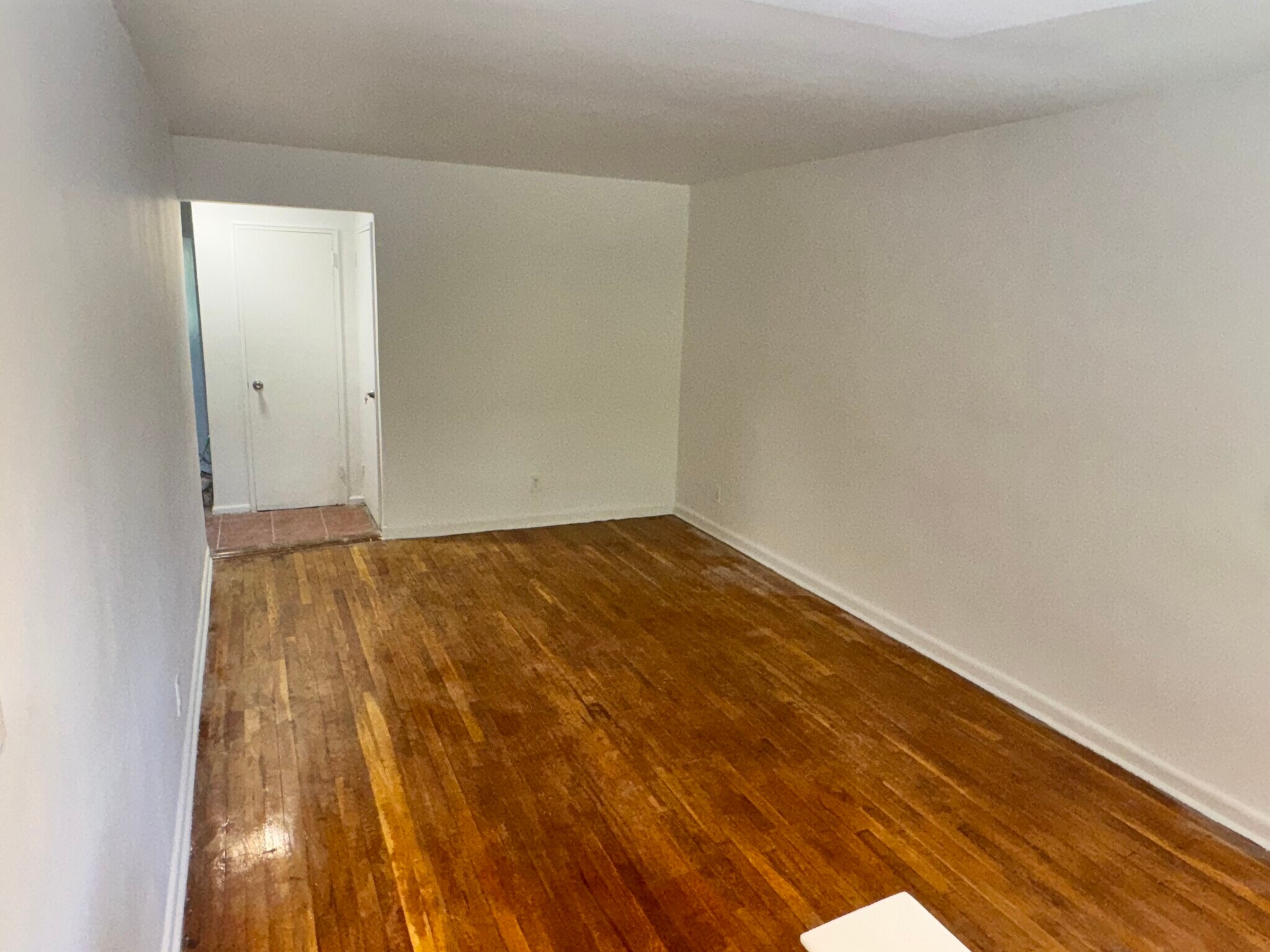 Living room - 727 E 101st St