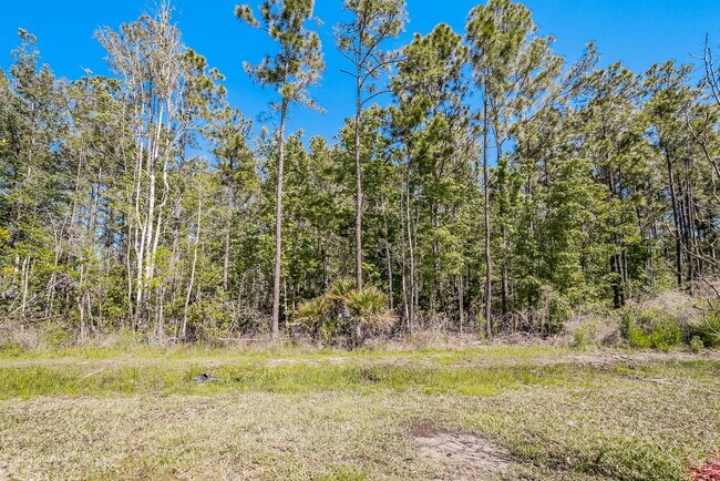 Building Photo - 1231 Coastal Mdw Trl