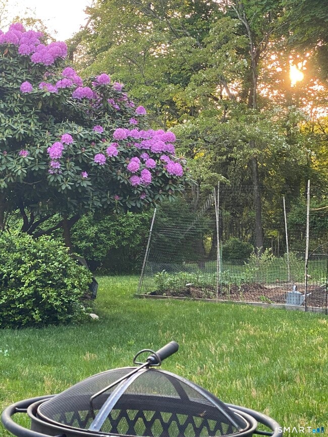 Building Photo - 276 Dunnlea Rd