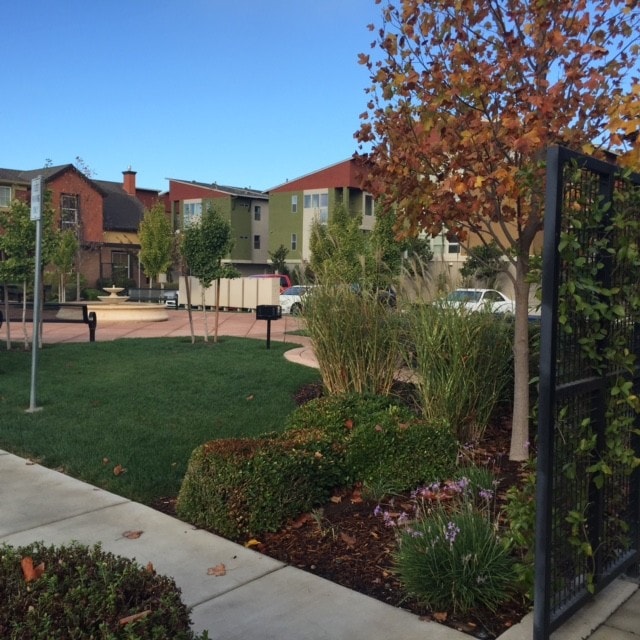 Park w/bbq and picnic tables - 812 Titanium Ln