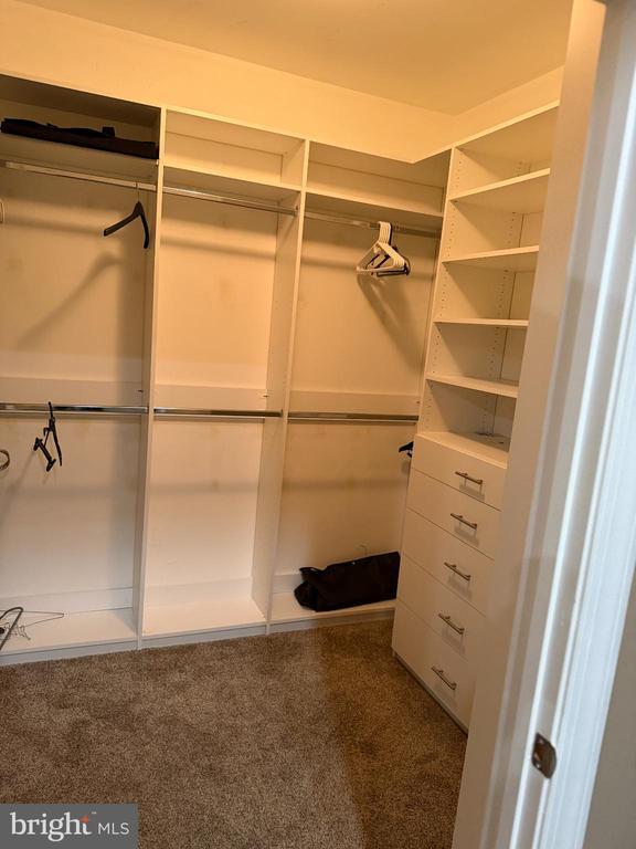 Building Photo - 4004 Ethan Thomas Dr