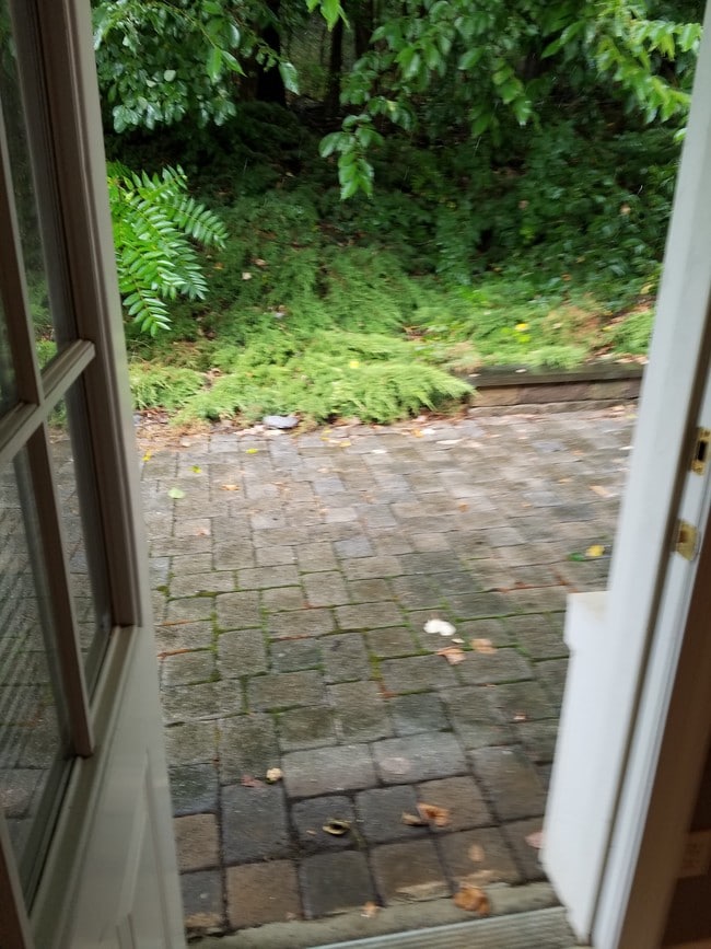 Building Photo - Oak Springs