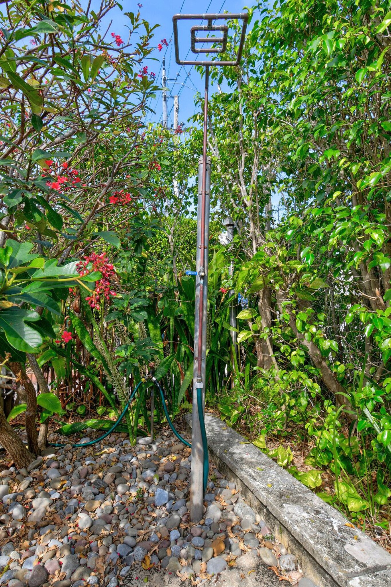 Building Photo - 414 Lake Shore Dr