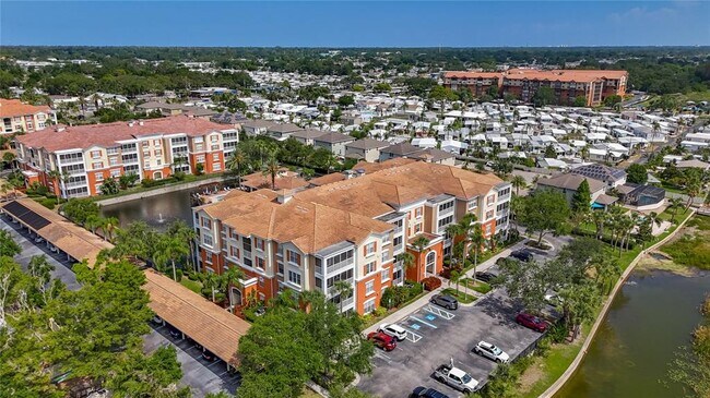 Building Photo - 7905 Seminole Blvd