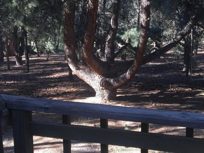 Building Photo - 2704 Tirol Dr