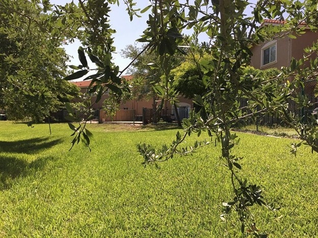 Common Back Yard - 8537 SW 214th Ln