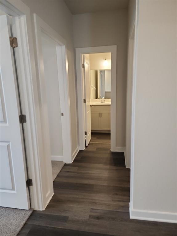 Building Photo - 2353 Moon Tower Trl