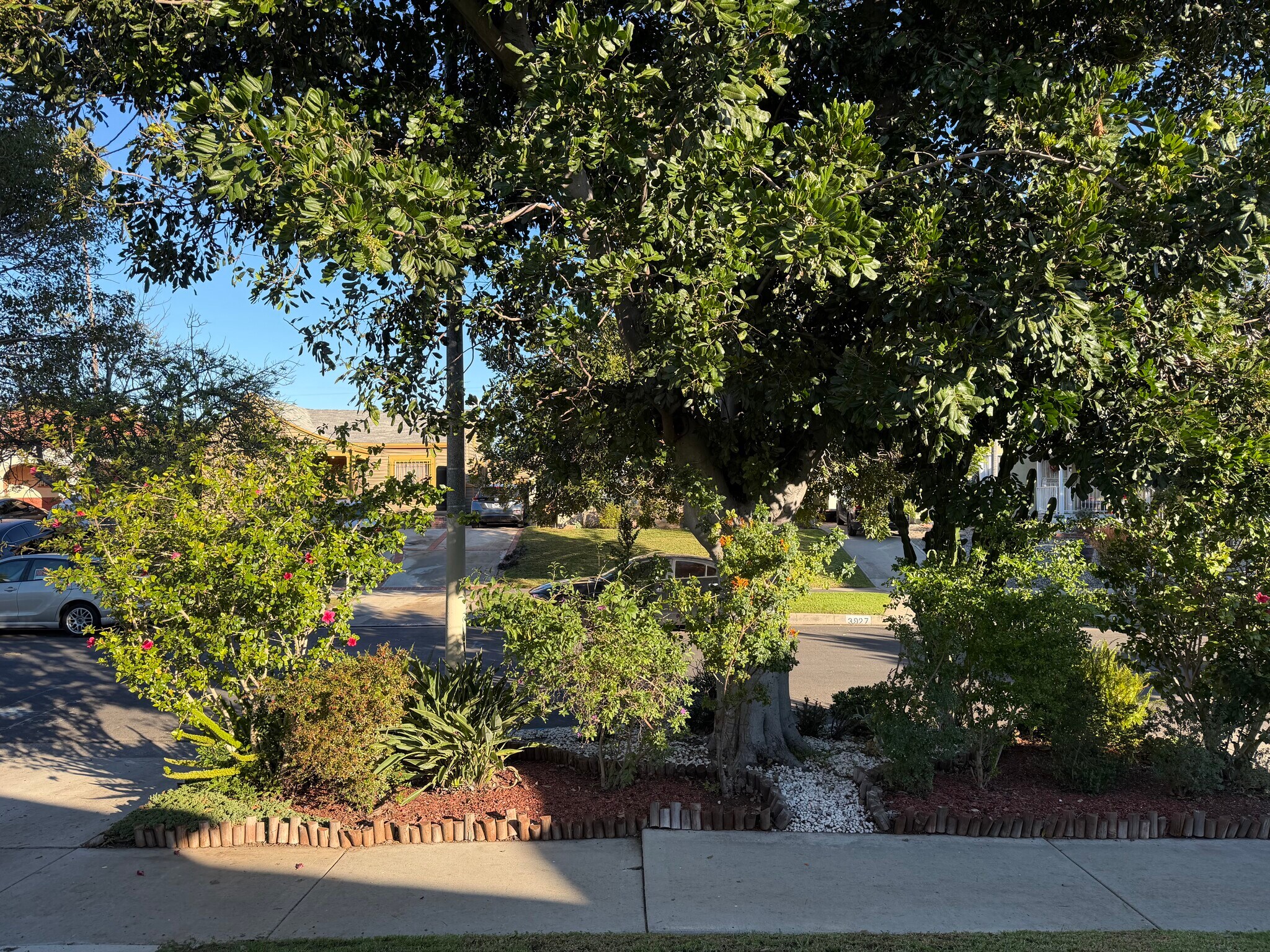 FRONT YARD - 3926 W 59th St