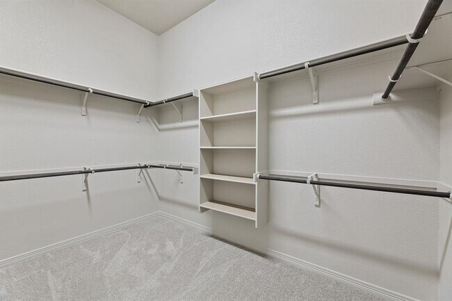 Building Photo - 1104 Spring Gulch Ln