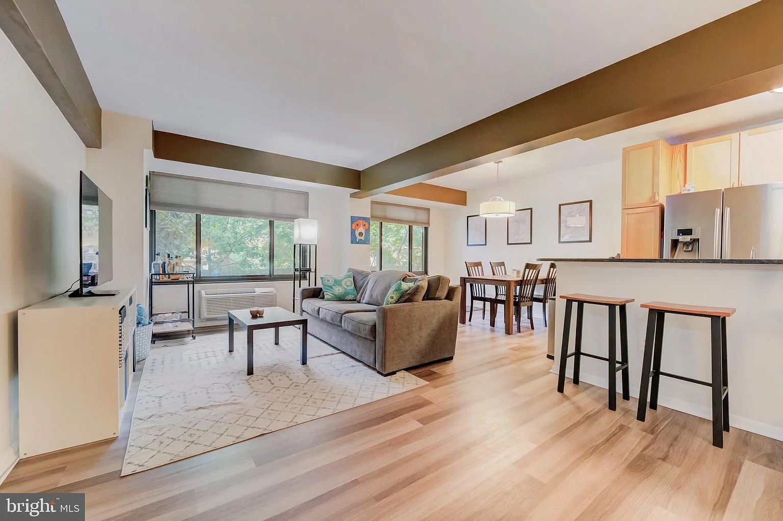 Living Rm/Dining - 3601 Wisconsin Ave NW