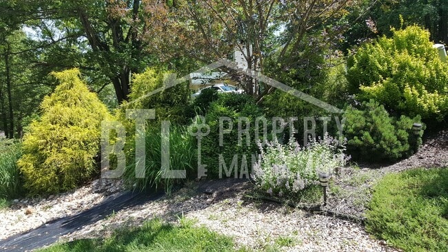 Building Photo - Furnished Kimberling City Duplex! ALL UTIL...