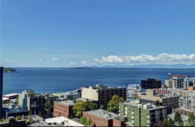 View from living area - 2201 3rd Ave