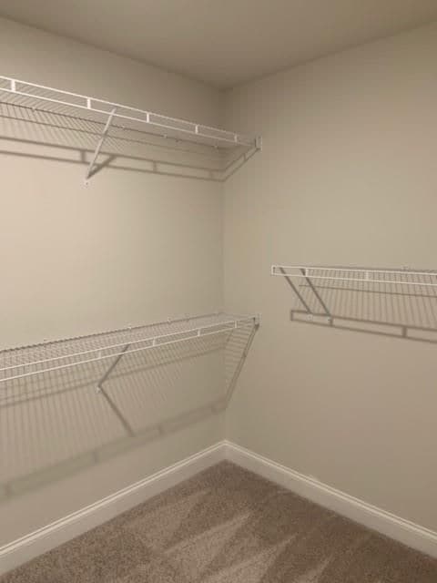 Building Photo - 908 Sweetwater Grove