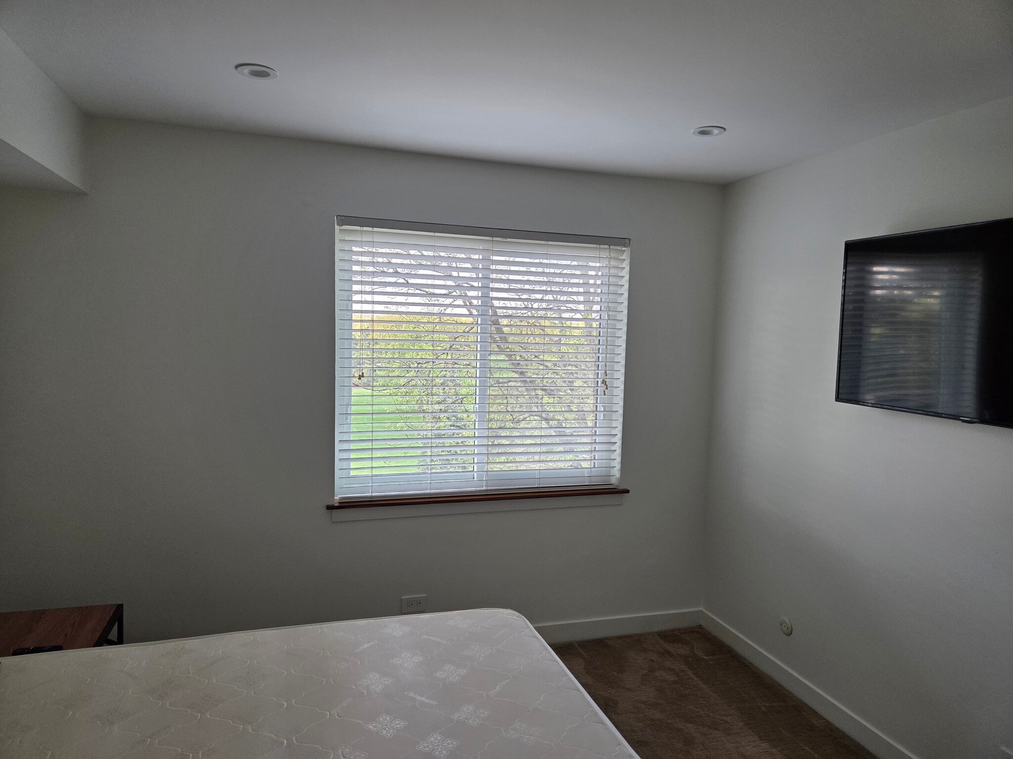 2nd Bedroom - 700 Wellington Ave