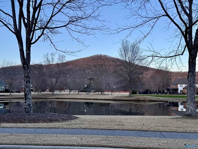 Building Photo - 2316 Little Cove Rd