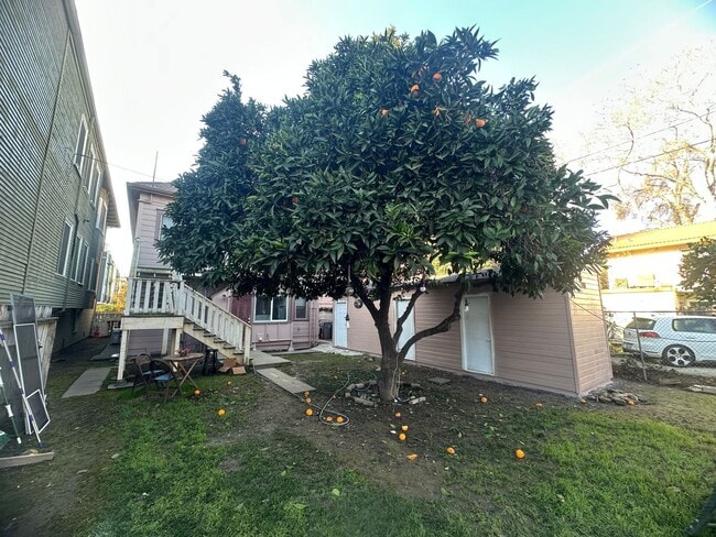 Building Photo - Updated 2 Bedroom with Office and Yard in the Heart of Midtown