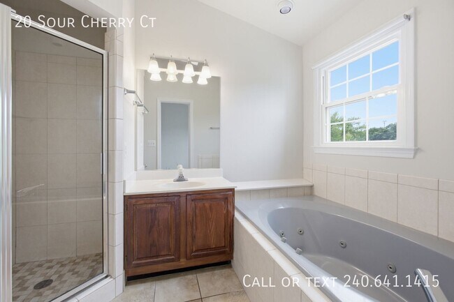 Building Photo - 20 Sour Cherry Ct