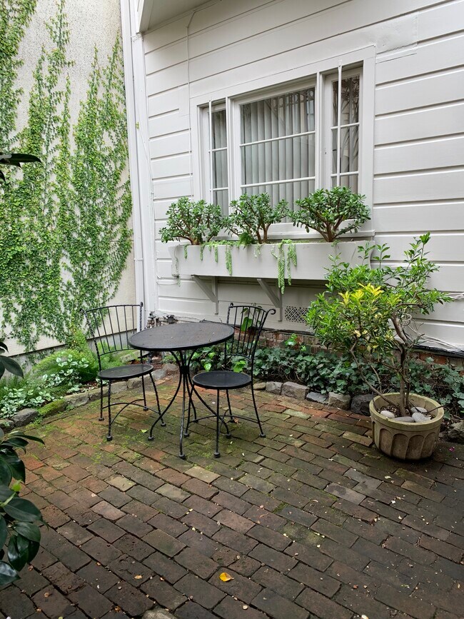 Garden - 41 Malvina Pl