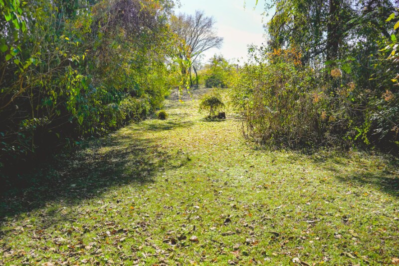Building Photo - 3116 Gribble St