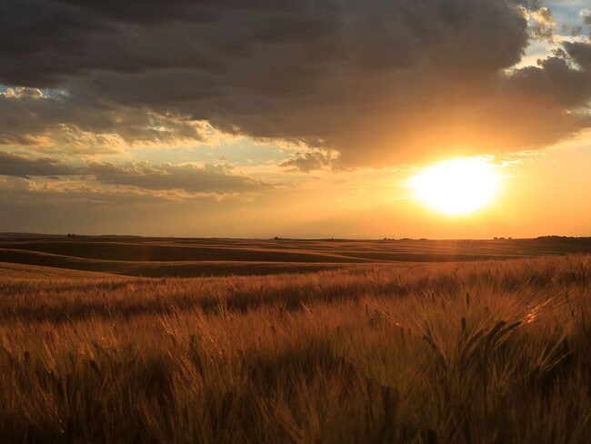 Building Photo - Modern 3-Bedroom Townhome in the Heart of ...