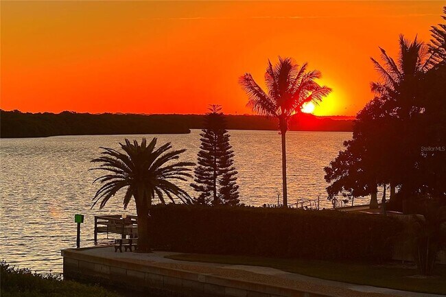 Building Photo - 4800 Gulf of Mexico Dr