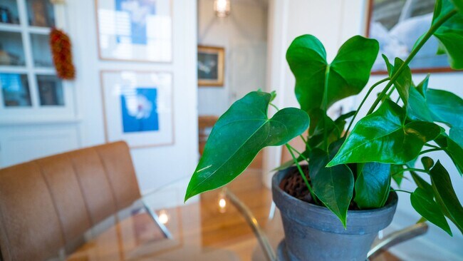 Building Photo - J19(A-B)