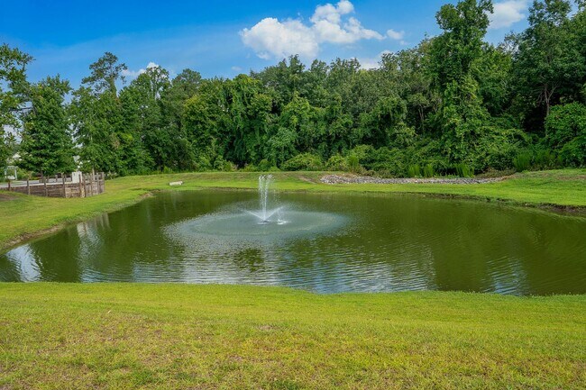 Building Photo - Stunning 4 bedroom 2.5 bath home located in Hampstead Wyndwater Community