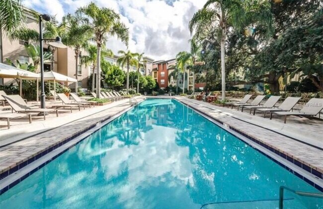 Lovely pool area - 410 S Armenia Ave