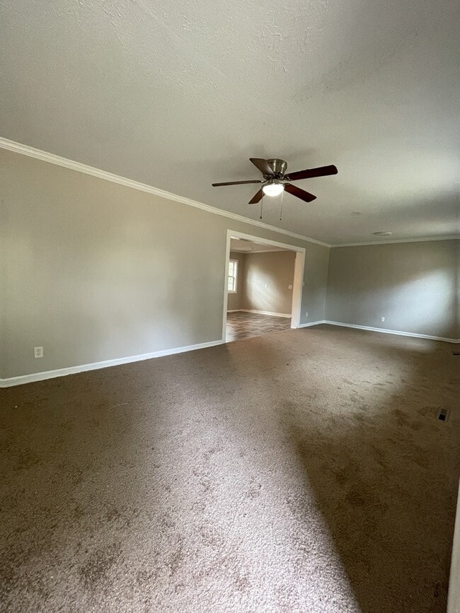 Building Photo - 511 Woodward Ave