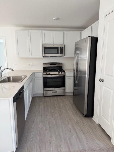 Building Photo - 216 Sormonne Lp