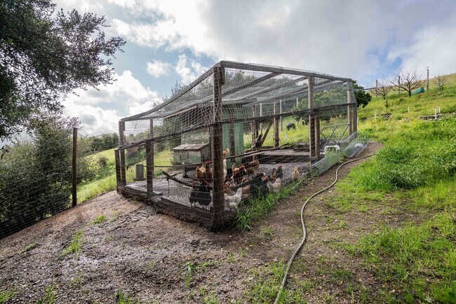 Building Photo - Solvang Private Gated Remodeled Home