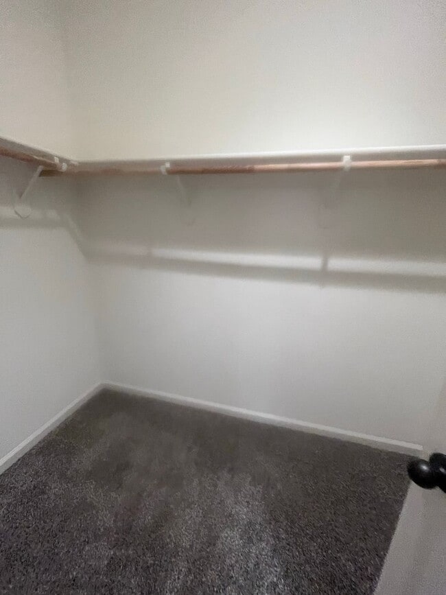 Building Photo - Riverbank!