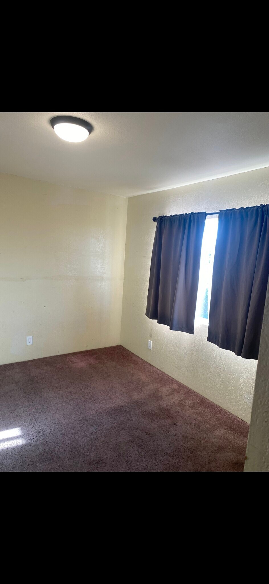 Building Photo - 3671 San Juan Ave