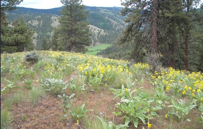 Building Photo - Cozy 1-Bed Cabin on 30 Private Acres – Incredible Views & Outdoor Access