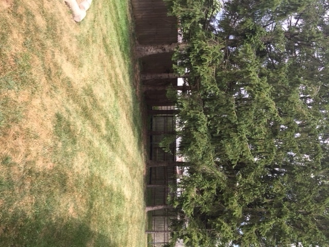Building Photo - 117 N Harbison Ave