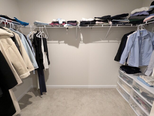 Building Photo - 916 Throckmorton Ct