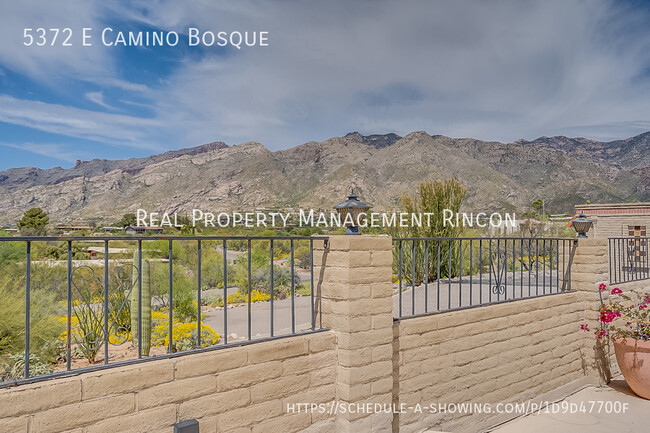 Building Photo - Location! Quintessential Tucson Classic is...