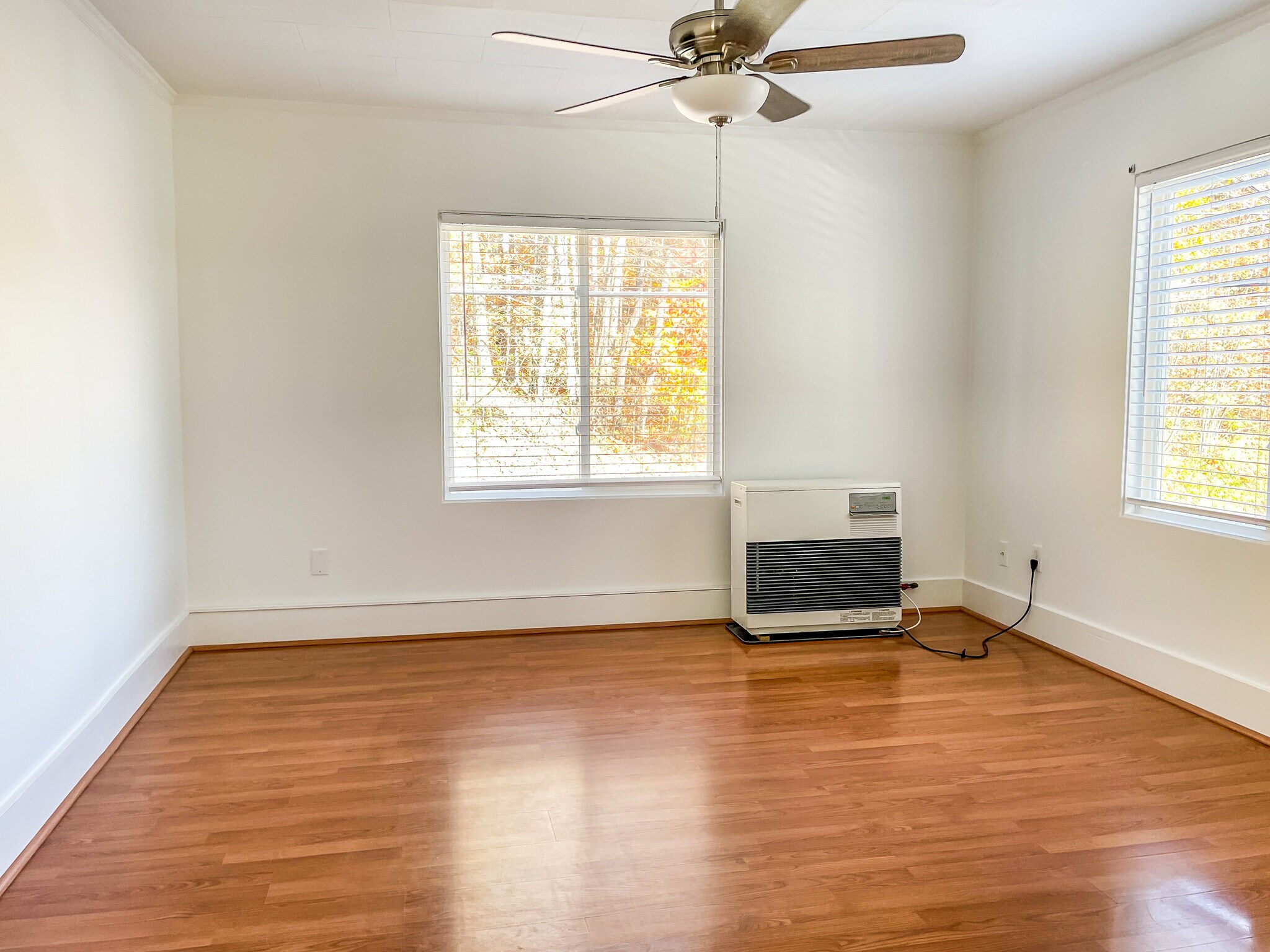 Building Photo - 210 Mount Vernon Ave