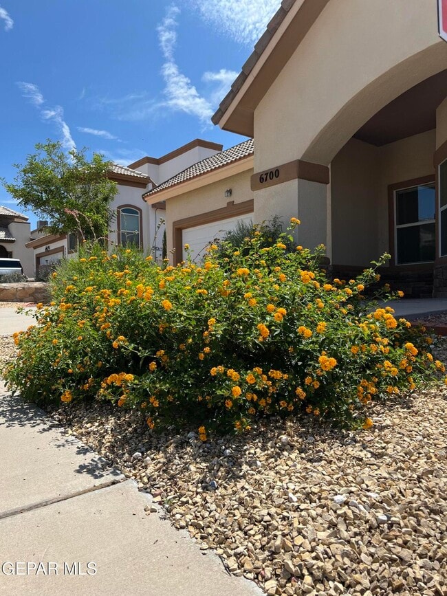 Building Photo - 6700 Hermoso Del Sol Dr