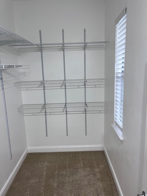 Building Photo - 12307 Lantana Park Ln