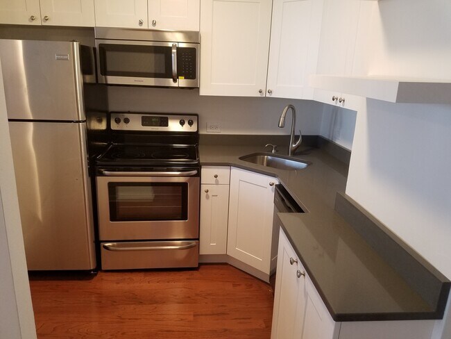 Building Photo - 1455 N Sandburg Terrace