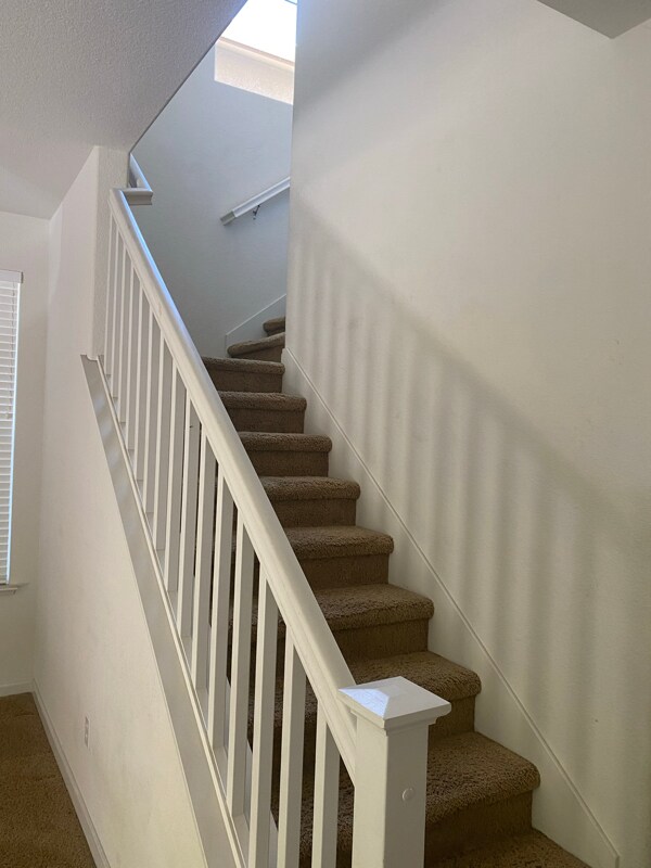 Building Photo - 3908 Hidden Grove Ln