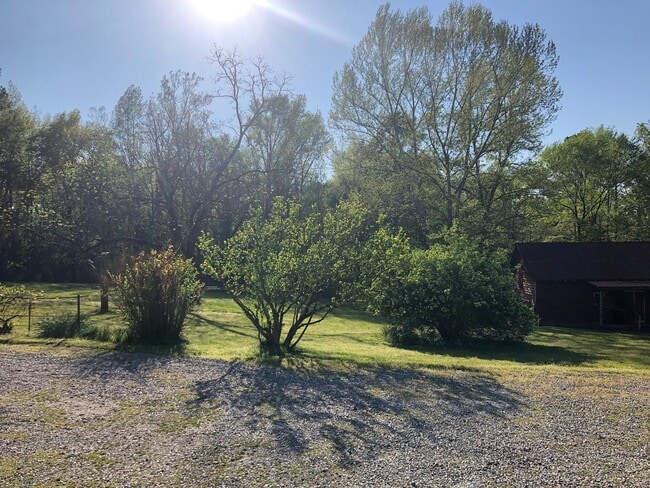 Building Photo - Fully Renovated Farmhouse in Moseley