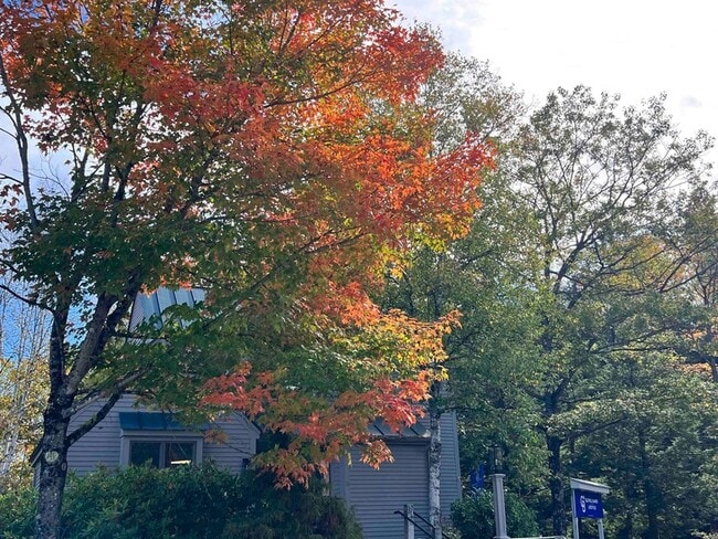 Building Photo - 18 Pioneer Point