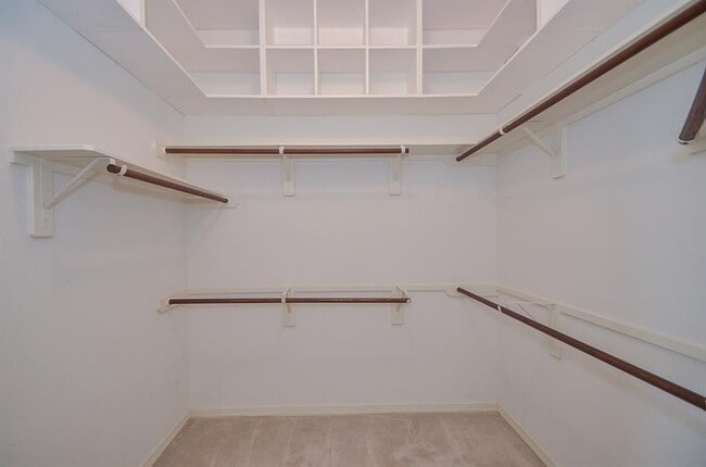 Building Photo - 4107 Elk Bluff Ln