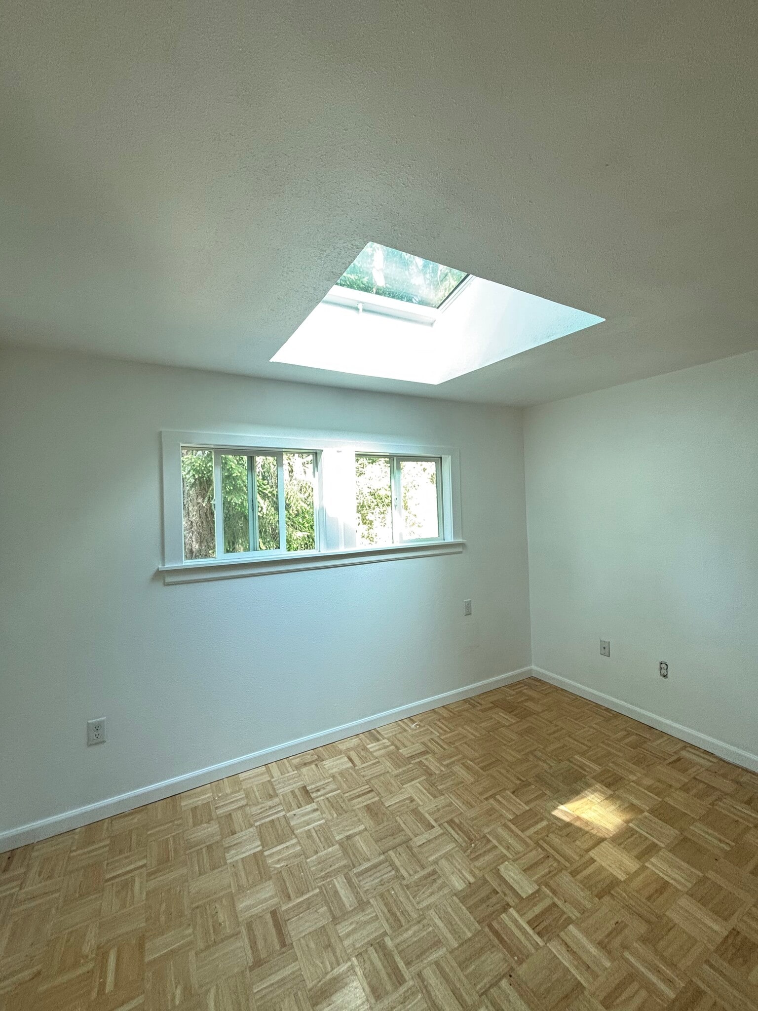 Skylight - 14713 113th St NW