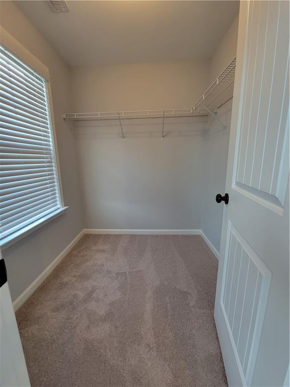 Building Photo - 3218 Leyden Ct