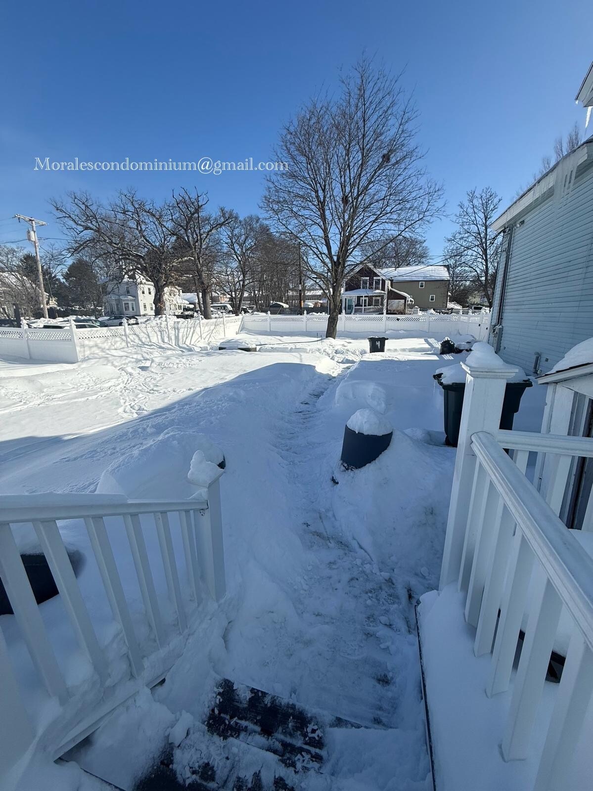 Backyard - 65 2nd St