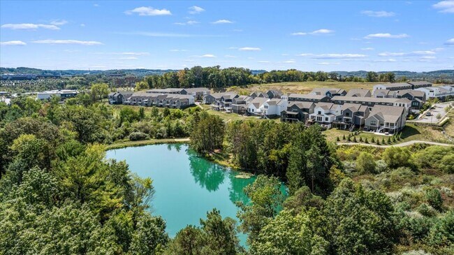 Building Photo - Brand New Luxury Townhome for LEASE